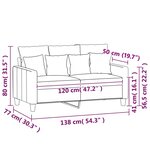 vidaXL Canapé à 2 places Marron 120 cm Velours