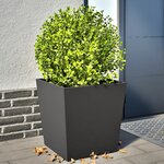vidaXL Jardinières 2 Pièces noir 50x50x50 cm acier