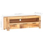 vidaXL Meuble TV 119x30x41 cm Bois de manguier brut