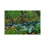 Engrais naturel bio pour toutes les plantes 2 5 kg + 500 g offerts