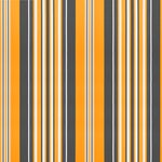 vidaXL Tissu de remplacement pour auvent rayures multicolores 6x3 5 m