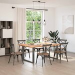 vidaXL Pieds de table à manger en U 2 pièces Anthracite 100 x (72-73) cm Acier