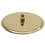 vidaXL Pomme de douche pluie Acier inoxydable 30 cm Ronde Doré