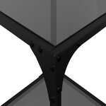 vidaXL Tables basses avec dessus en verre noir 2 Pièces 30x30x40 cm acier