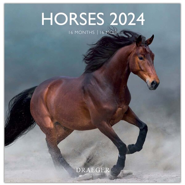 Grand Calendrier Mural 29x29  cm - 2025 - Chevaux - Draeger