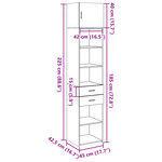 vidaXL Armoire de rangement mince noir 45x42 5x225cm bois d'ingénierie