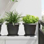 vidaXL Pot à fleurs rond 6 Pièces Noir Ø 26 x 21 5 cm Plastique