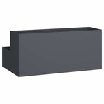 vidaXL Cache-pot de jardin Anthracite 100 x 60 x 45 cm