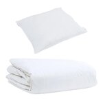 vidaXL Duvet d'été simple avec oreiller 2 Pièces Blanc Plume de canard