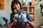 LEGO Creator - Modèle de la Vespa 125 - 10298 pour les Passionnés de Construction