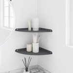 vidaXL Étagère flottante avec étagère 2 Pièces Anthracite 30 x 30 x 2 cm