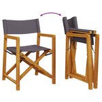 vidaXL Chaises pliables de jardin lot de 2 gris foncé tissu