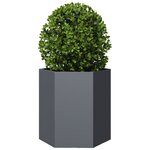 vidaXL Jardinières 2 Pièces anthracite hexagone 46x40x45 cm acier