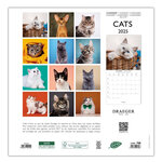 Grand Calendrier Mural 29x29 Cm - 2025 - Chats - Draeger paris