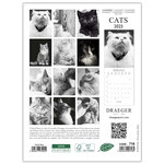 Petit calendrier mural chats noir et blanc - 2023 - draeger paris