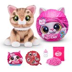 Zuru 9541 - Chatons de Pets Alive