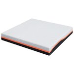 vidaXL Matelas Blanc  Gris 200 x 200 cm Mousse