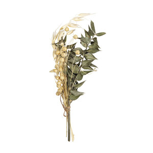 Bouquet de fleurs séchées - vert pin