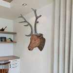 Tête de cerf accroche murale déco naturelle