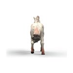 Schleich 14917 - Horse Club Jument Knabstrupper