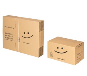 Pack 20 cartons spécial stockage