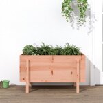 vidaXL Lit surélevé de jardin 101x50x57 cm bois Douglas massif