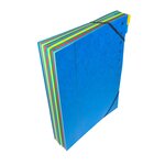 Trieur Harmonika Fenêtres Imprimées Véritable Carte Lustrée 12 Compartiments - Couleurs Assorties - X 6 - Exacompta