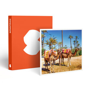 SMARTBOX - Coffret Cadeau 3 jours en riad avec hammam et excursion en dromadaire dans la Palmeraie de Marrakech -  Séjour