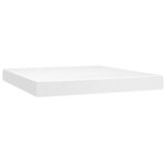 vidaXL Matelas de lit à ressorts ensachés Blanc 160x200x20 cm