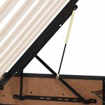 vidaXL Lit avec rangement et LED Noir 200 x 200 cm Velours