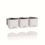 LECHUZA 3 Pièces Jardinières Green Wall Home Kit Blanc