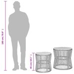 vidaXL Tables d'appoint de jardin 2 Pièces dessus en bois gris poly rotin