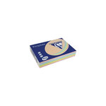 Ramette 250 Feuilles Papier 160g A4 210x297 mm Certifié FSC Assorti Pastel TROPHÉE