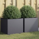 vidaXL Jardinières 2 Pièces anthracite 42x40x39 cm acier laminé à froid