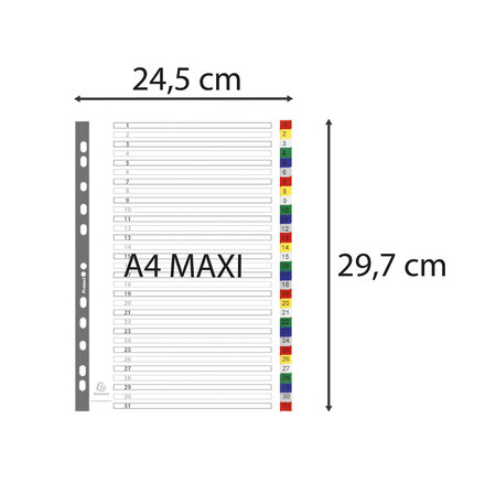 Intercalaires Imprimés Numériques Pp Couleurs 12/100e - 31 Positions - A4+ - Assorties Vives - X 20 - Exacompta