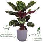 3 pots de fleur ronds Ø 14 x 13 1  Ø 16 x 15 3  Ø 19 x 17 6 cm - Lila et Blanc