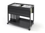 Chariot pour dossiers suspendus SYSTEM File Trolley 100 Noir DURABLE