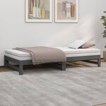 vidaXL Lit coulissant sans matelas gris 2x(100x200) cm