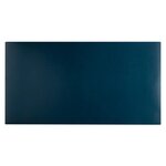 Sous Main Souple Pu Bicolore - 35x60cm - Tropique/canard - Exacompta