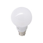 Lot de 2 ampoules led a60  culot b22  10w cons. (60w eq.)  lumière blanc neutre