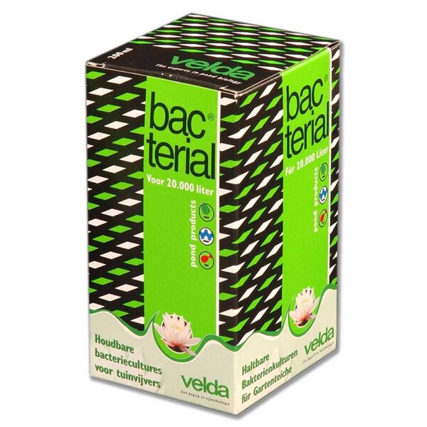 Velda Bactéries pour équilibre de bassin 200 ml