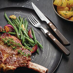 Couteau à steak chuletero l 229 mm - lot de 6 - tramontina churrasco -  - acier inoxydable228 x29x12mm