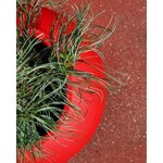 RIVIERA -  pot de fleurs Boule -  D50 - rouge