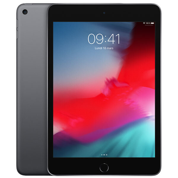 iPad mini 5 (2019) - 64 Go - Gris sidéral - Très bon état