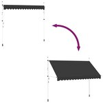 vidaXL Auvent manuel rétractable 350 cm Anthracite