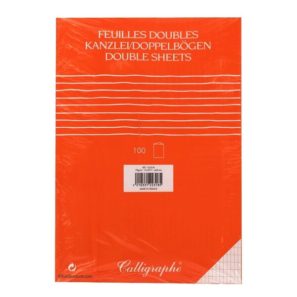 Feuilles doubles - a4 21x29 7 - petits carreaux - calligraphe