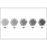 Étui de 5 crayons graphite Castell 9000 Jumbo HB 2B 4B 6B 8B x 10 FABER-CASTELL