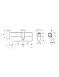 SP - Cylindre de serrure à  bouton Tiger 6  40Bx30mm  nickel  anti-arrachement  anti-perçage  5 clés - SP