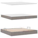 vidaXL Lit avec rangement et matelas Taupe 200 x 200 cm Velours