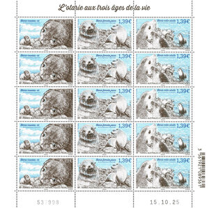 Timbre TAAF - Triptyque Otaries aux 3 âges